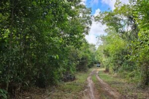 taboquinhas farm road