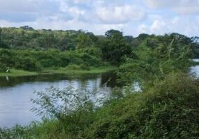 itacare farm preserve riverside
